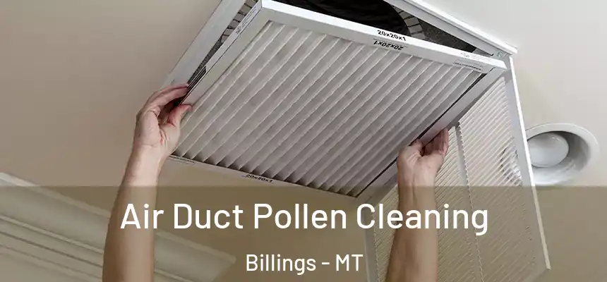 Air Duct Pollen Cleaning Billings - MT