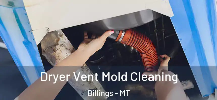  Dryer Vent Mold Cleaning Billings - MT