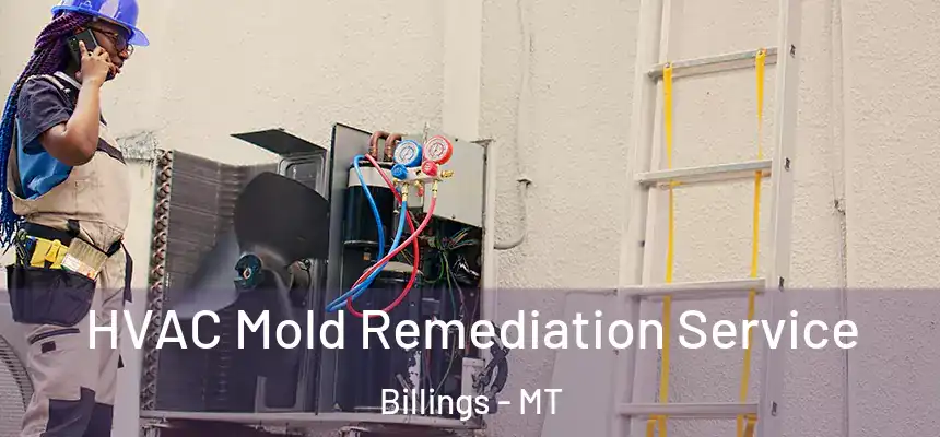  HVAC Mold Remediation Service Billings - MT