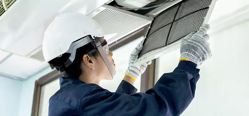 Our Mold & Mildew Removal from Air Ducts Services in Billings, MT