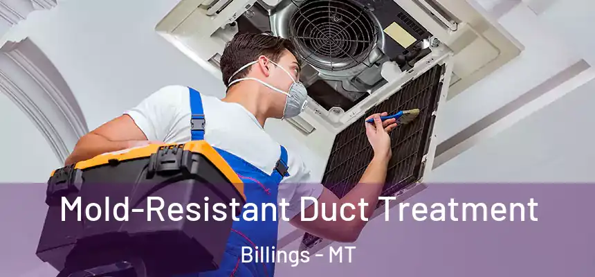 Mold-Resistant Duct Treatment Billings - MT
