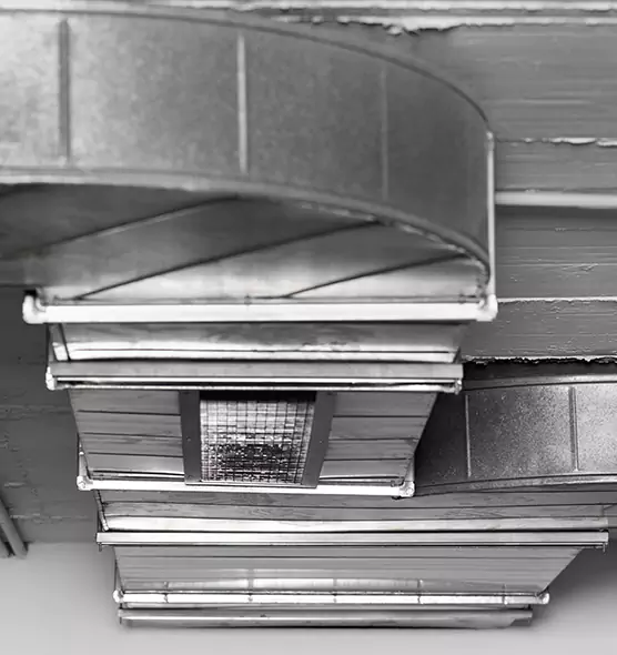 Professional Air Duct Pet Hair Removal in Billings, MT