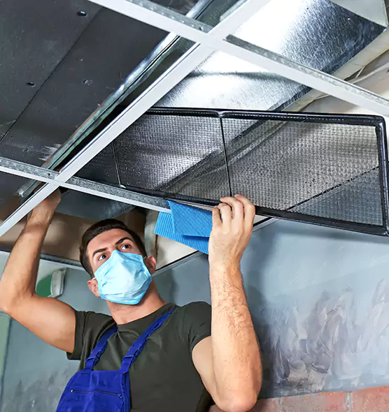Professional Air Duct Pollen Cleaning in Billings, MT
