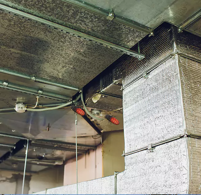 Why Homeowners & Businesses Trust Us in Billings, MT?