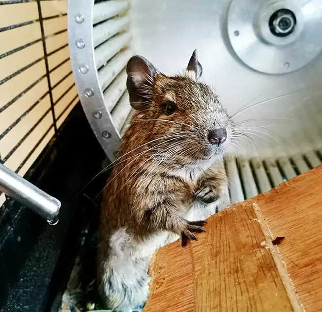 Why Homeowners & Businesses Trust Us Billings, MT?