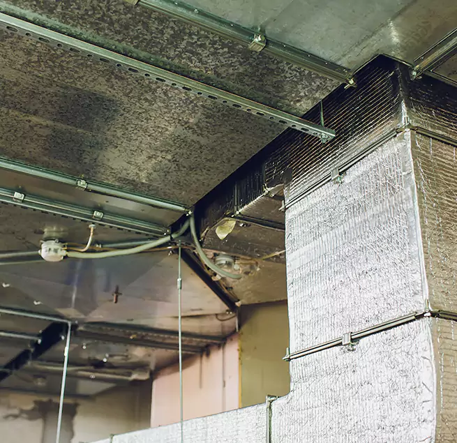 Why Homeowners & Businesses Trust Us in Billings, MT?